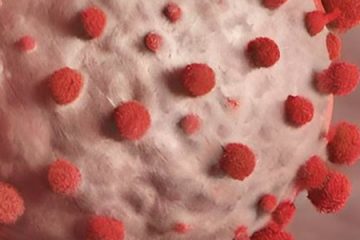 Ballett 3 - Isabella Buchfink Coronavirus 3